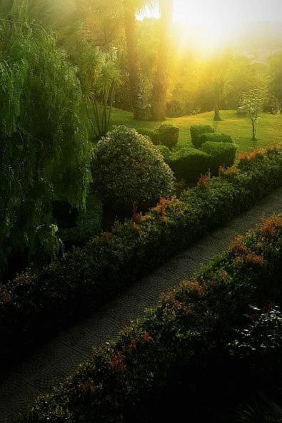Tenuta Tropeano Santa Domenica  Εξωτερικό φωτογραφία